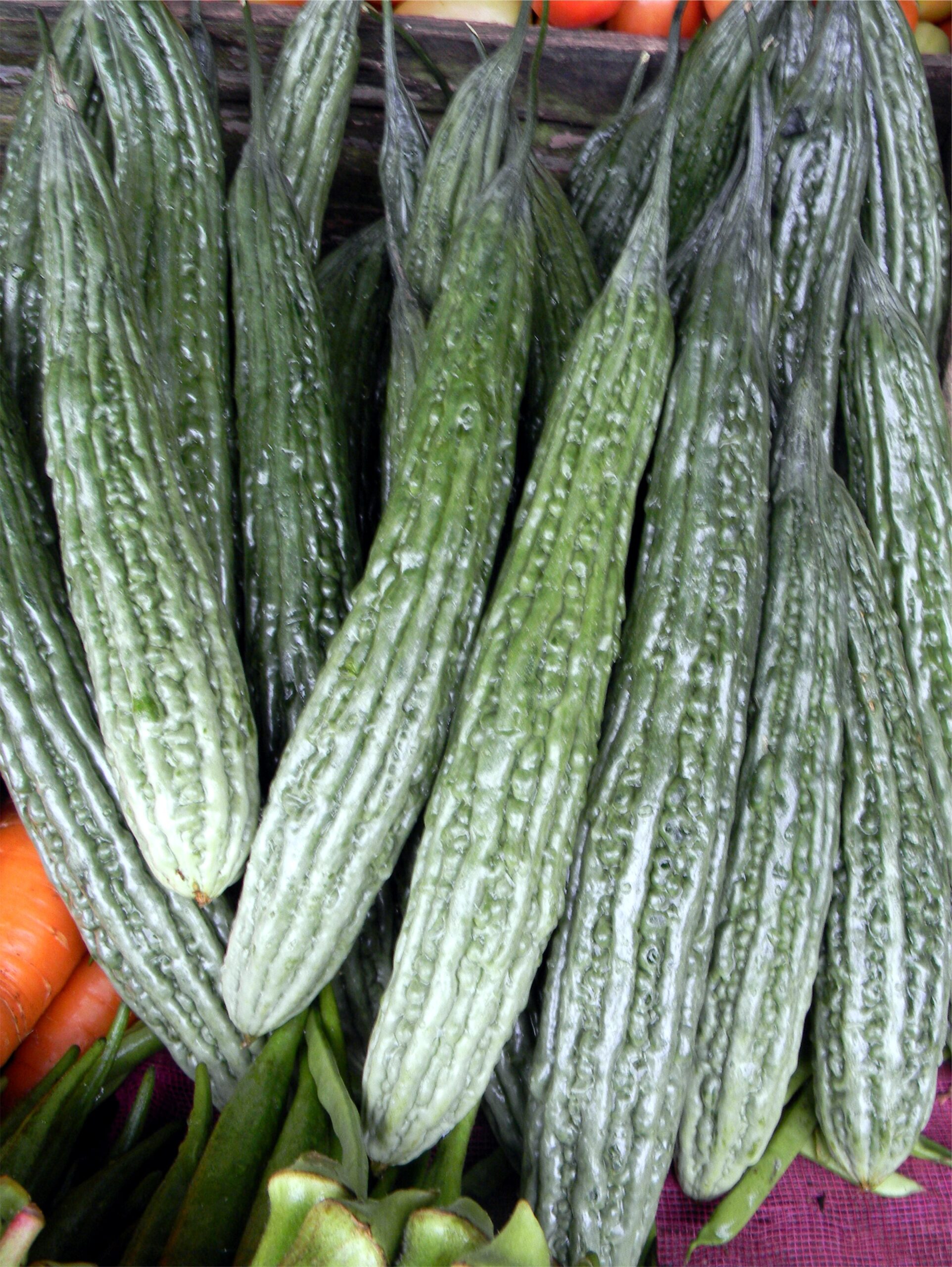 Ampalaya